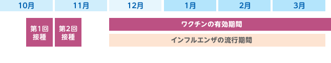 ワクチン接種のタイムスケジュール 第1回接種が10月中旬～下旬を目安。第2回接種が11月初旬～中旬を目安。インフルエンザのワクチン有効期間は概ね12月～3月。